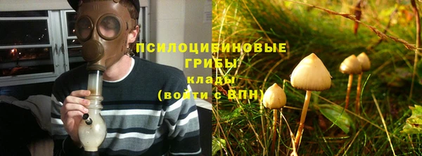 дурь Балахна