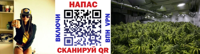 МАРИХУАНА гибрид  купить наркоту  мега ТОР  Прохладный 